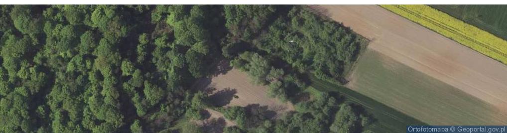 Trzydnik DużyKolonia 29 (ul), 23230 Trzydnik DużyKolonia